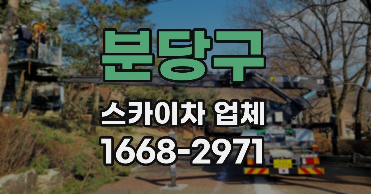 분당구 스카이차 업체