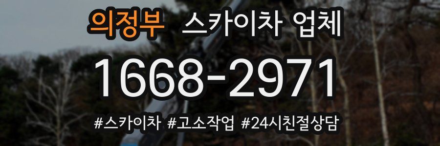 의정부 스카이차 업체