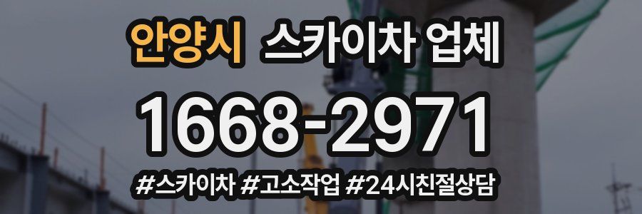 안양시 스카이차 업체