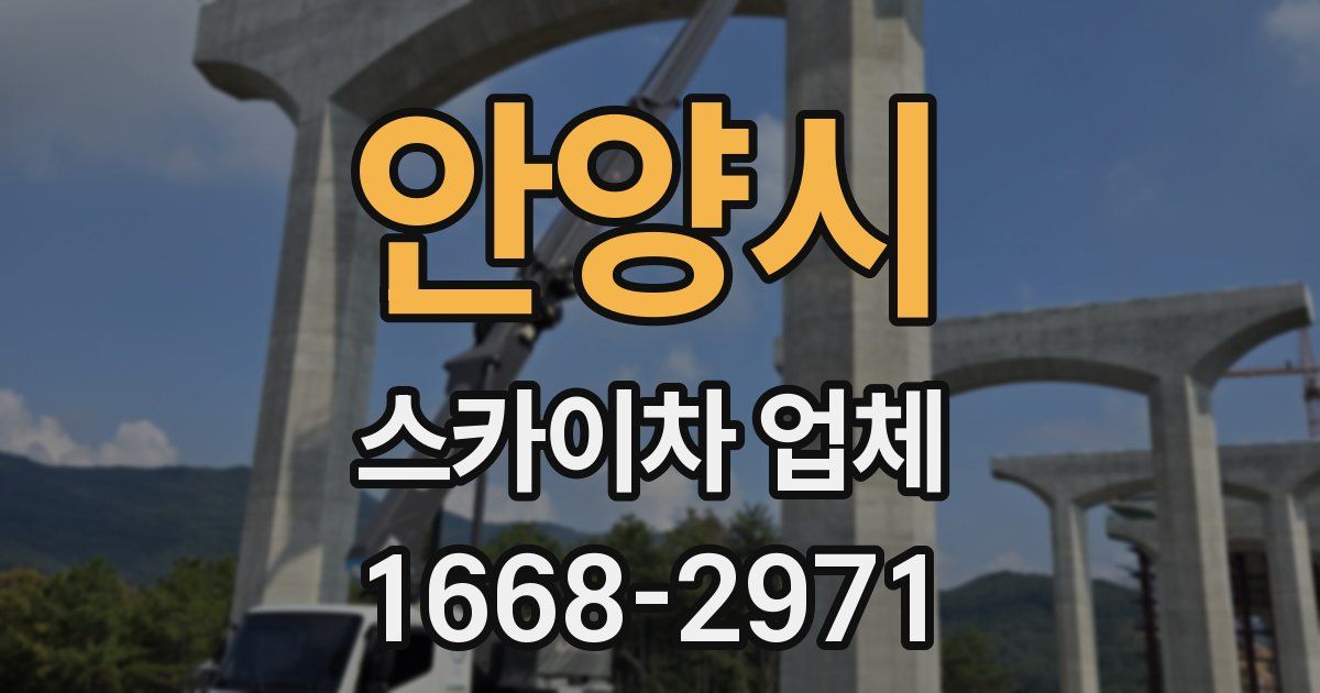 안양시 스카이차 업체