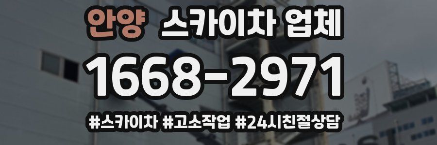 안양 스카이차 업체