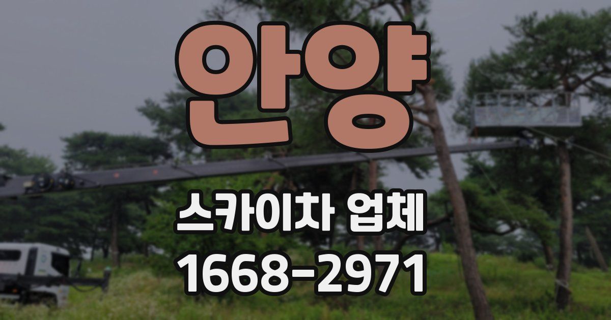 안양 스카이차 업체