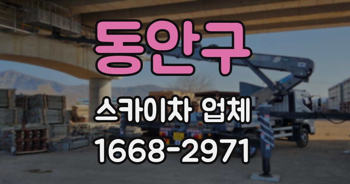 동안구 스카이차 업체