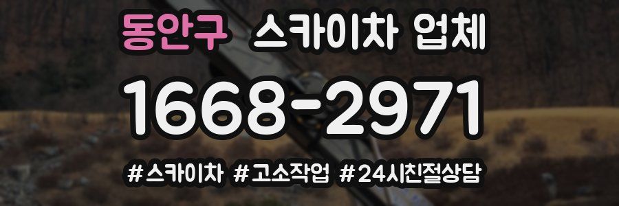 동안구 스카이차 업체