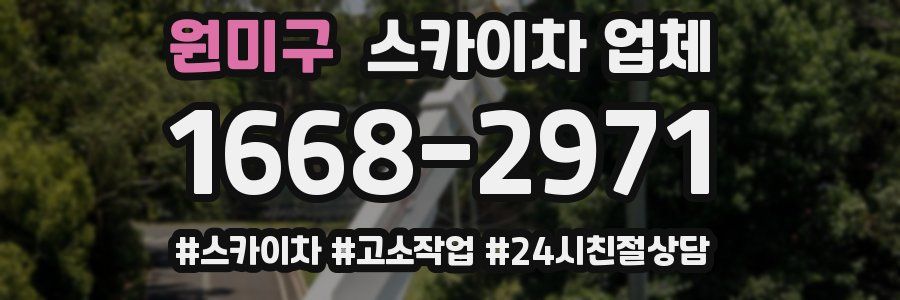 원미구 스카이차 업체