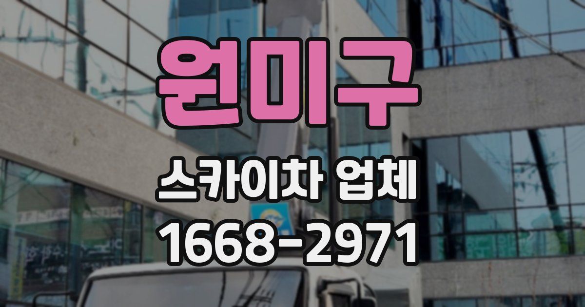 원미구 스카이차 업체