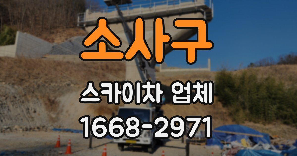 소사구 스카이차 업체