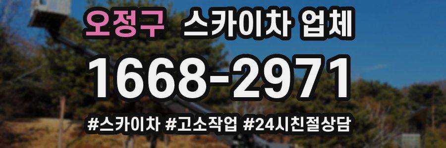 오정구 스카이차 업체