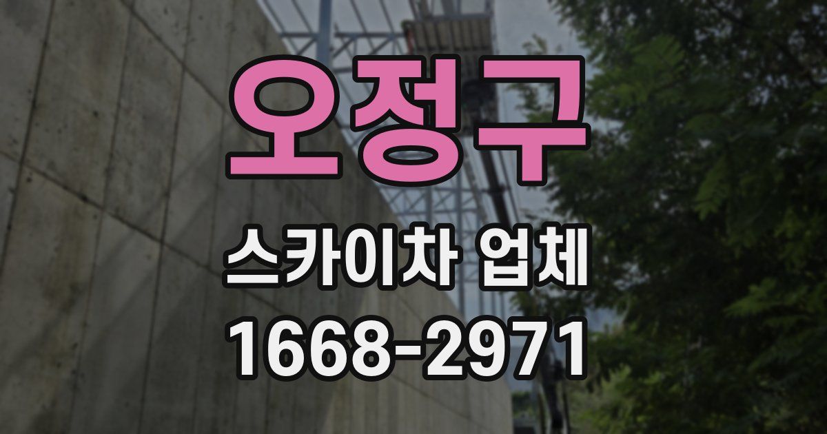 오정구 스카이차 업체