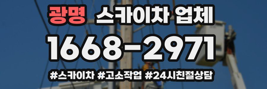 광명 스카이차 업체