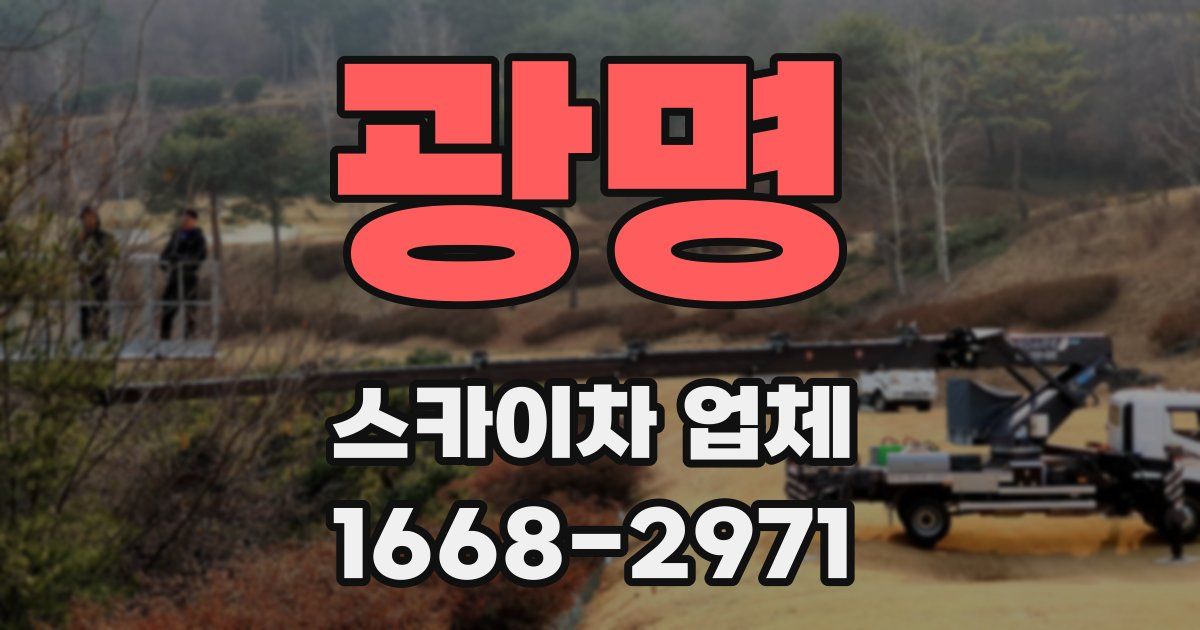 광명 스카이차 업체