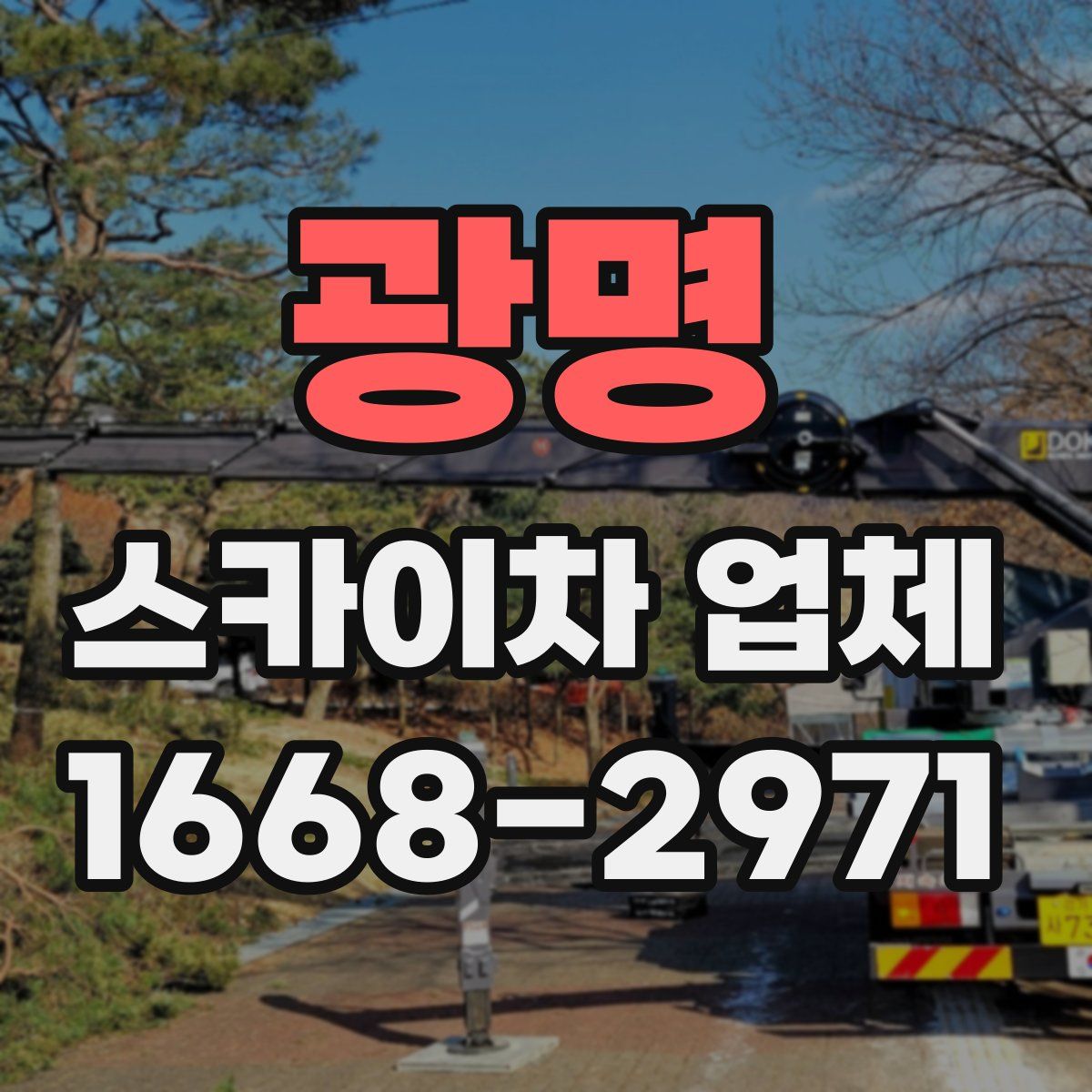 광명 스카이차 업체