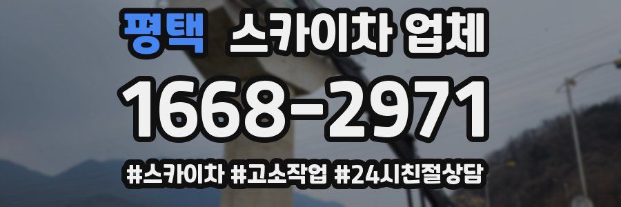 평택 스카이차 업체