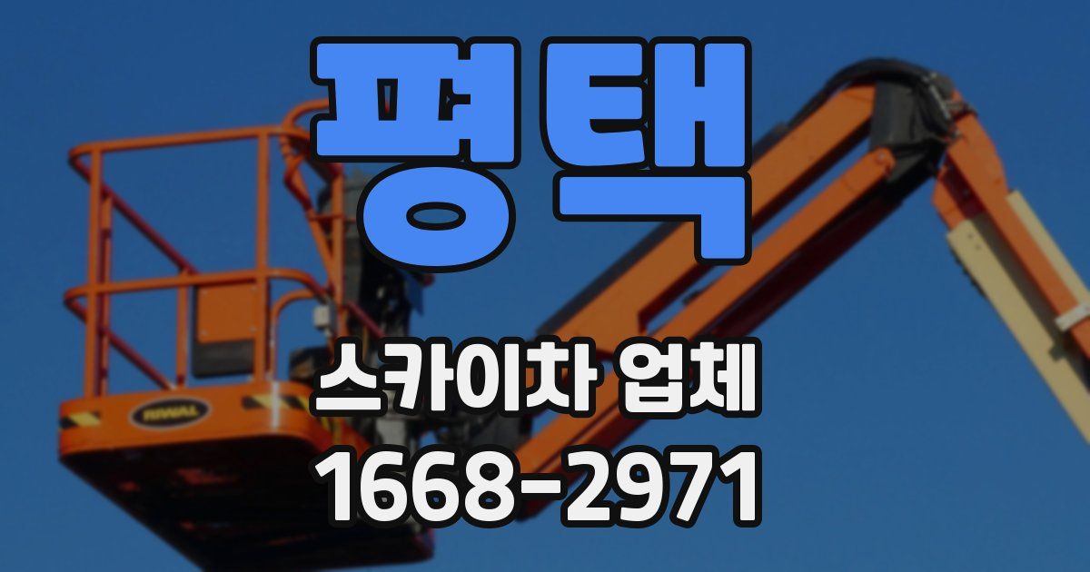 평택 스카이차 업체