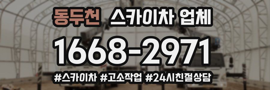 동두천 스카이차 업체