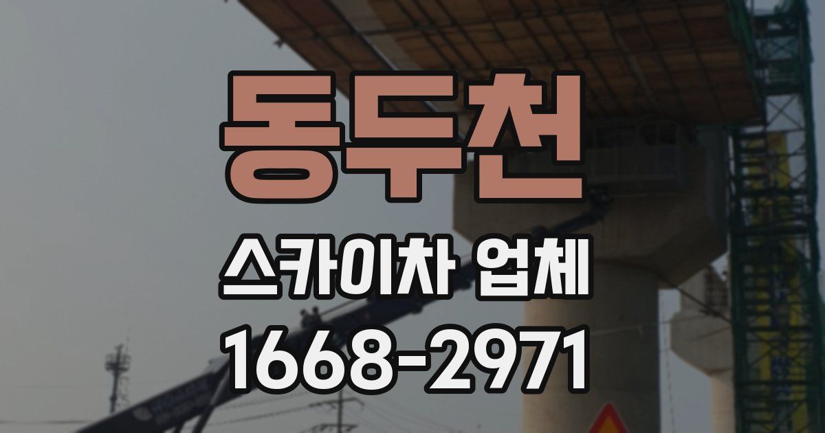 동두천 스카이차 업체