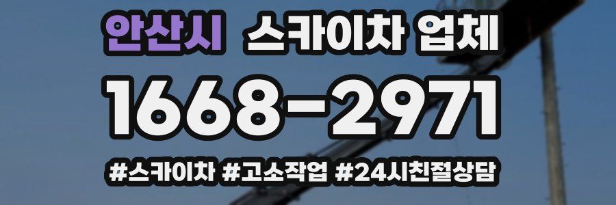 안산시 스카이차 업체