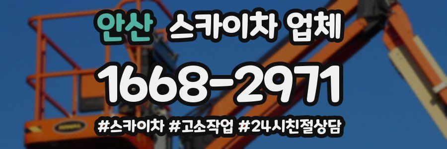 안산 스카이차 업체