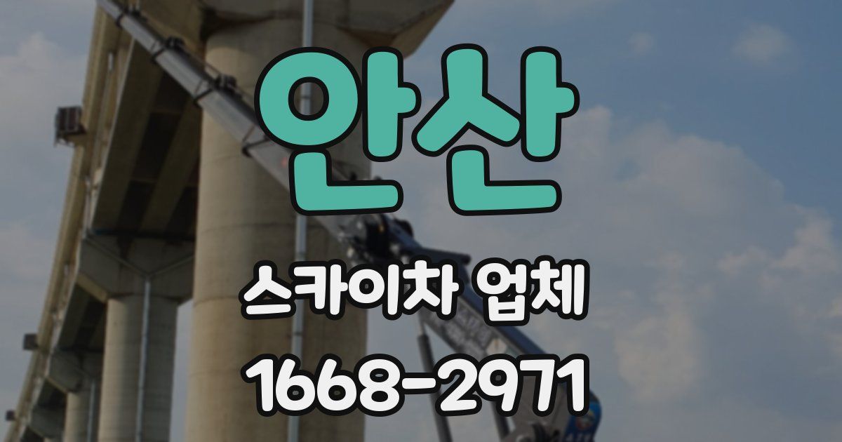 안산 스카이차 업체