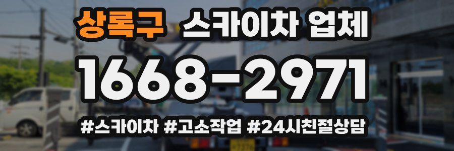 상록구 스카이차 업체