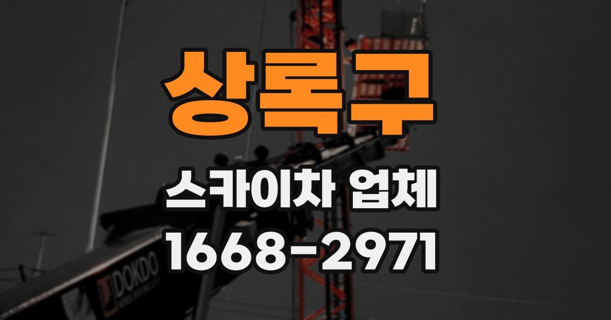 상록구 스카이차 업체