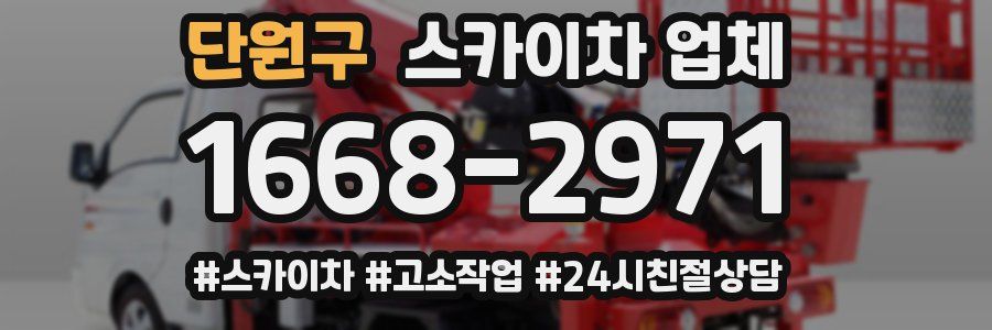 단원구 스카이차 업체