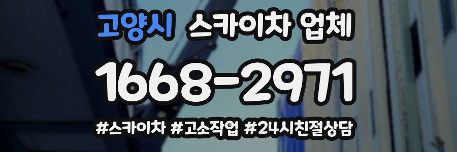 고양시 스카이차 업체