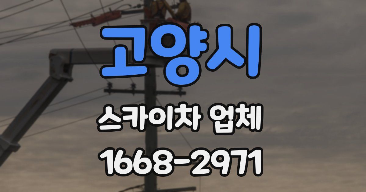 고양시 스카이차 업체