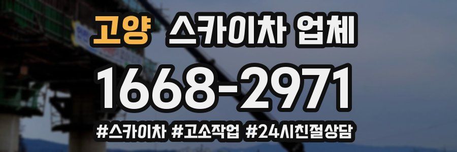 고양 스카이차 업체