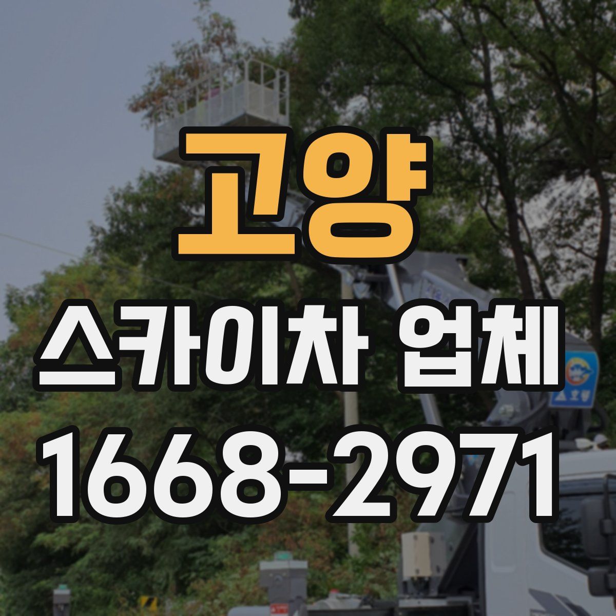 고양 스카이차 업체