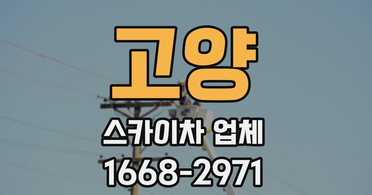 고양 스카이차 업체