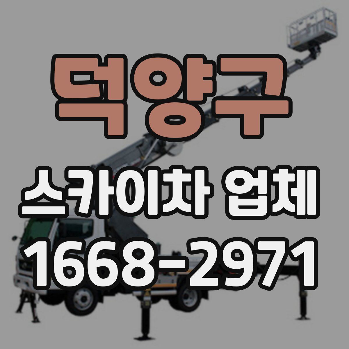 덕양구 스카이차 업체
