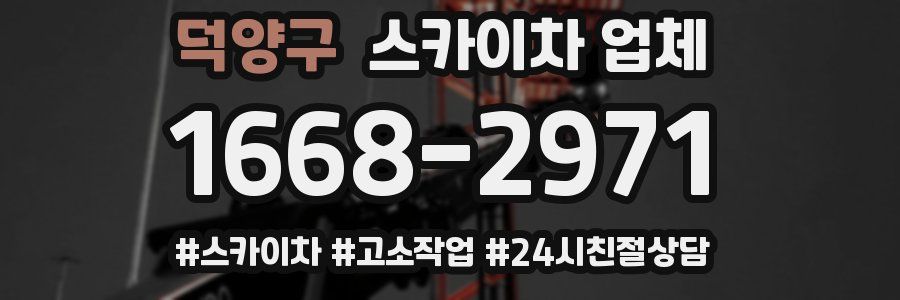 덕양구 스카이차 업체