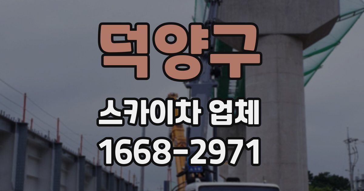 덕양구 스카이차 업체