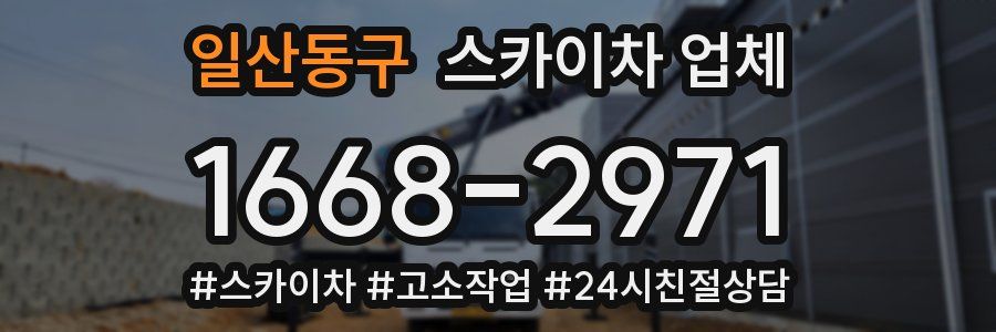 일산동구 스카이차 업체