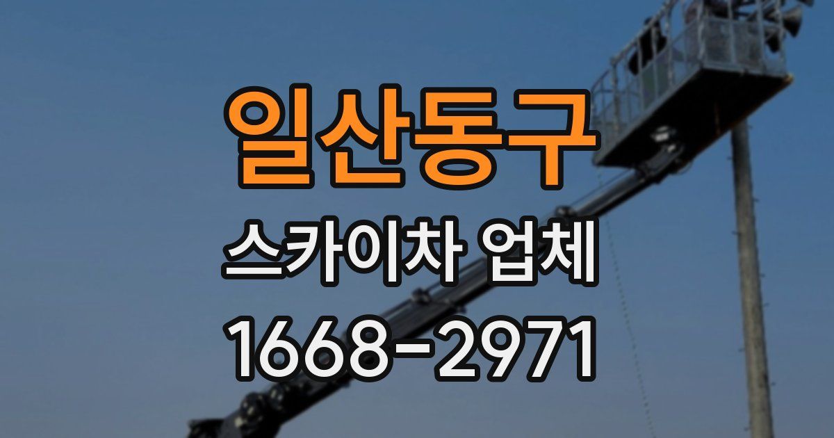 일산동구 스카이차 업체