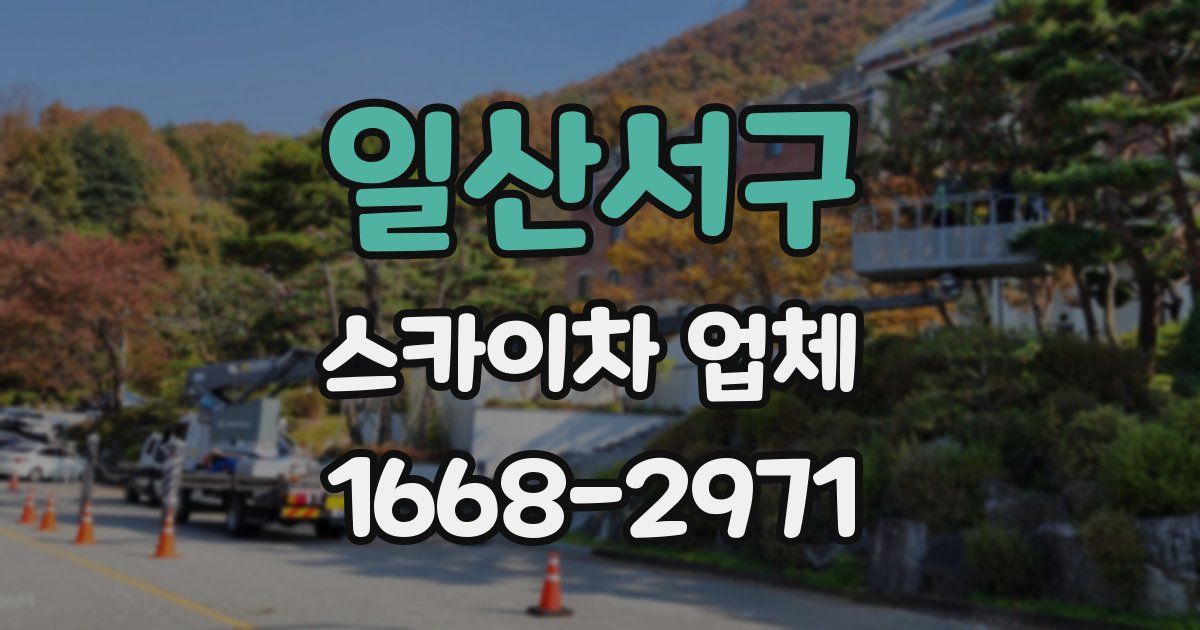 일산서구 스카이차 업체