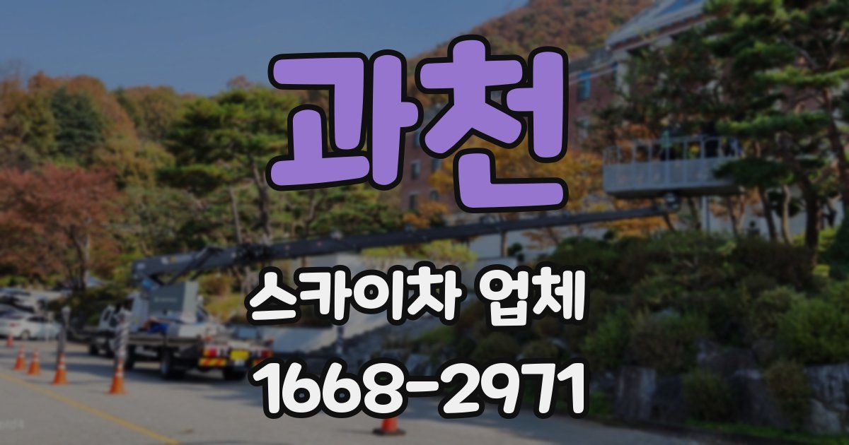 과천 스카이차 업체