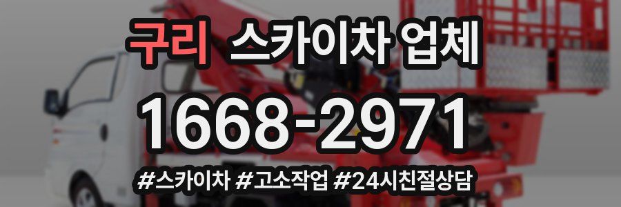 구리 스카이차 업체