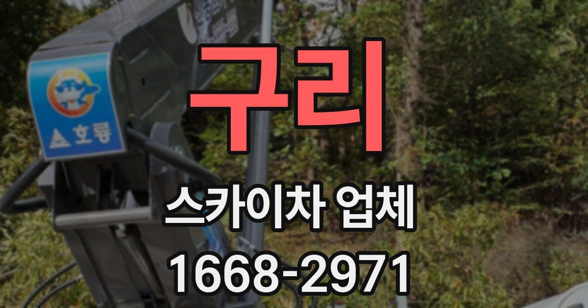 구리 스카이차 업체