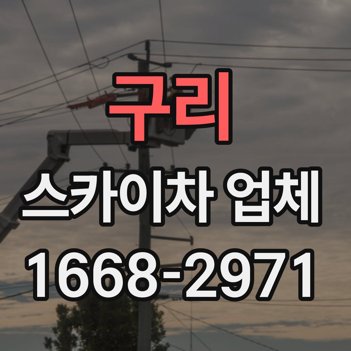 구리 스카이차 업체