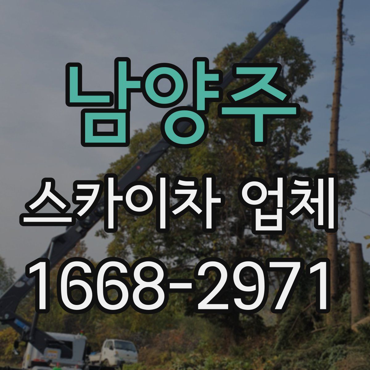 남양주 스카이차 업체
