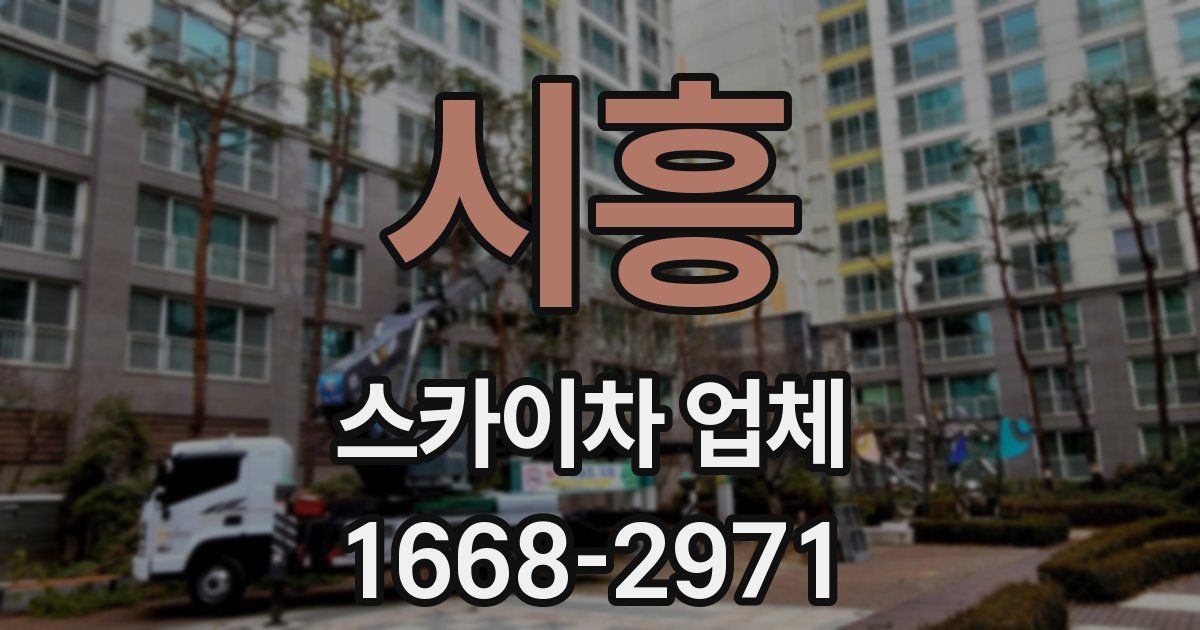 시흥 스카이차 업체