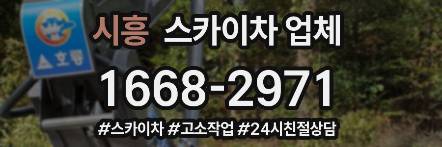 시흥 스카이차 업체