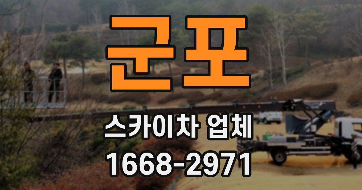 군포 스카이차 업체