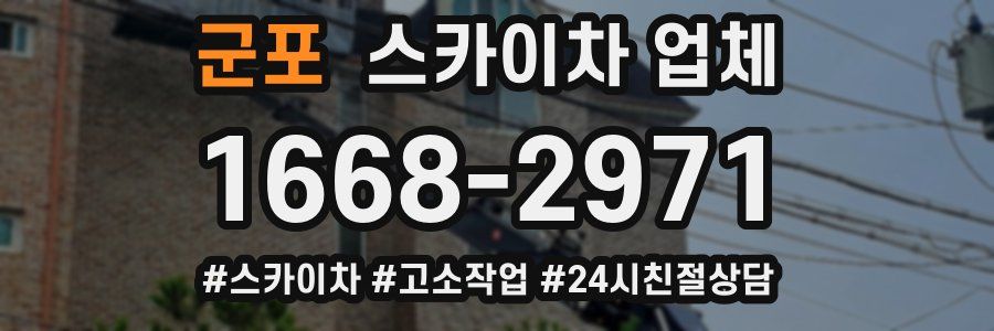 군포 스카이차 업체