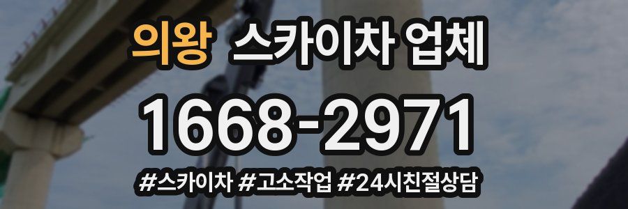 의왕 스카이차 업체
