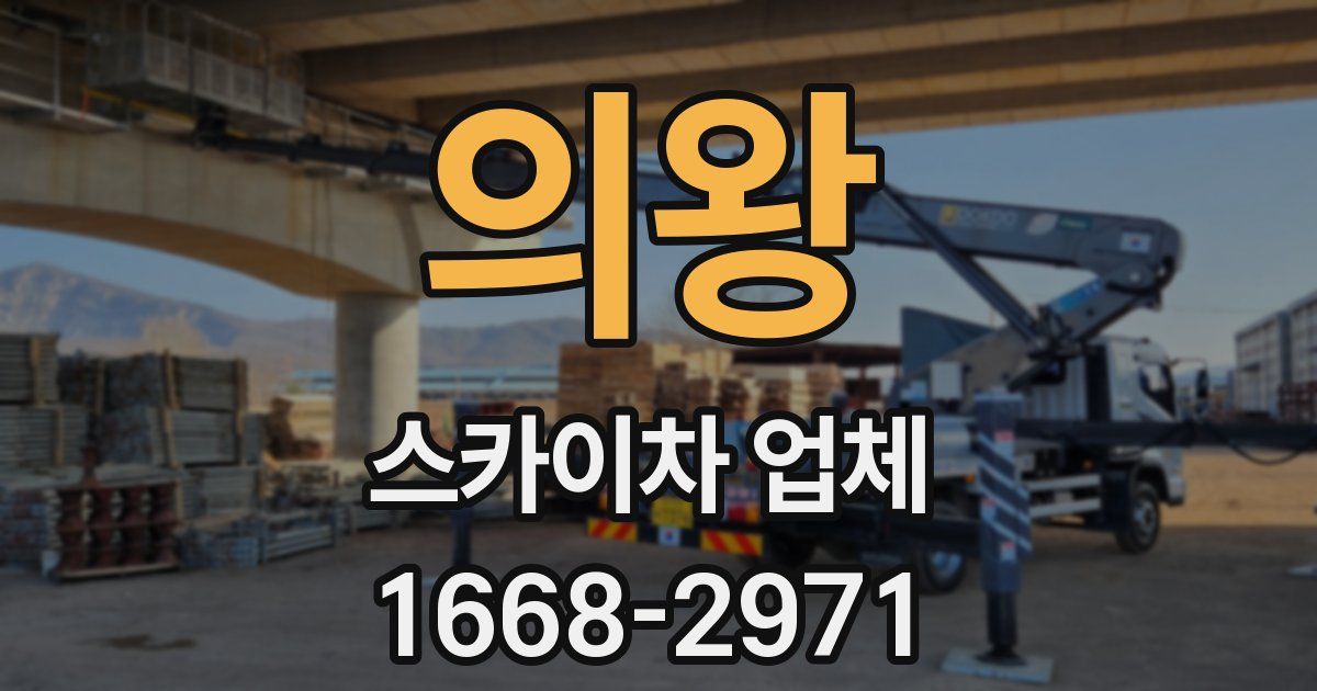 의왕 스카이차 업체