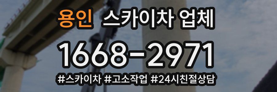 용인 스카이차 업체