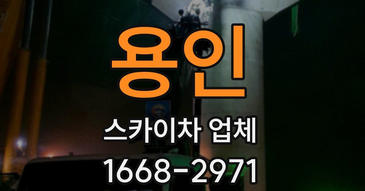 용인 스카이차 업체